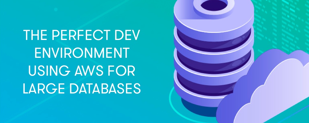 /posts/dev-environment-for-large-databases/cover-image.jpg